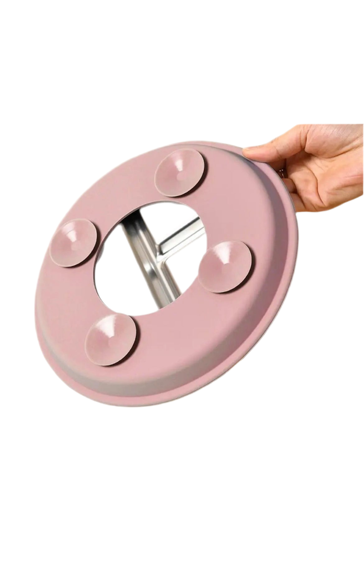 Stainless Steel Divided Plate With Silicone Suction Slip On